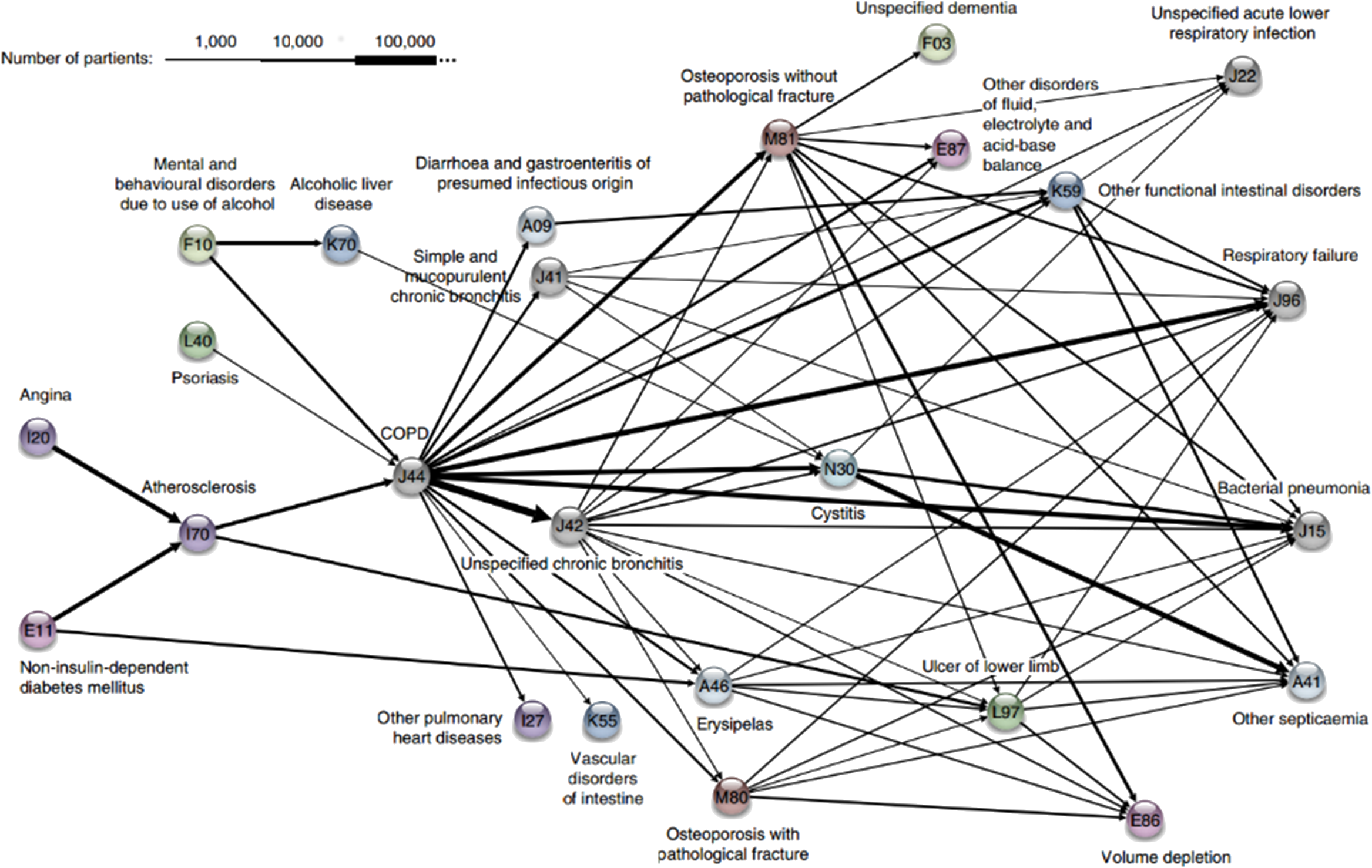 Diagnosis network around COPD in the Danish Medical Dataset.