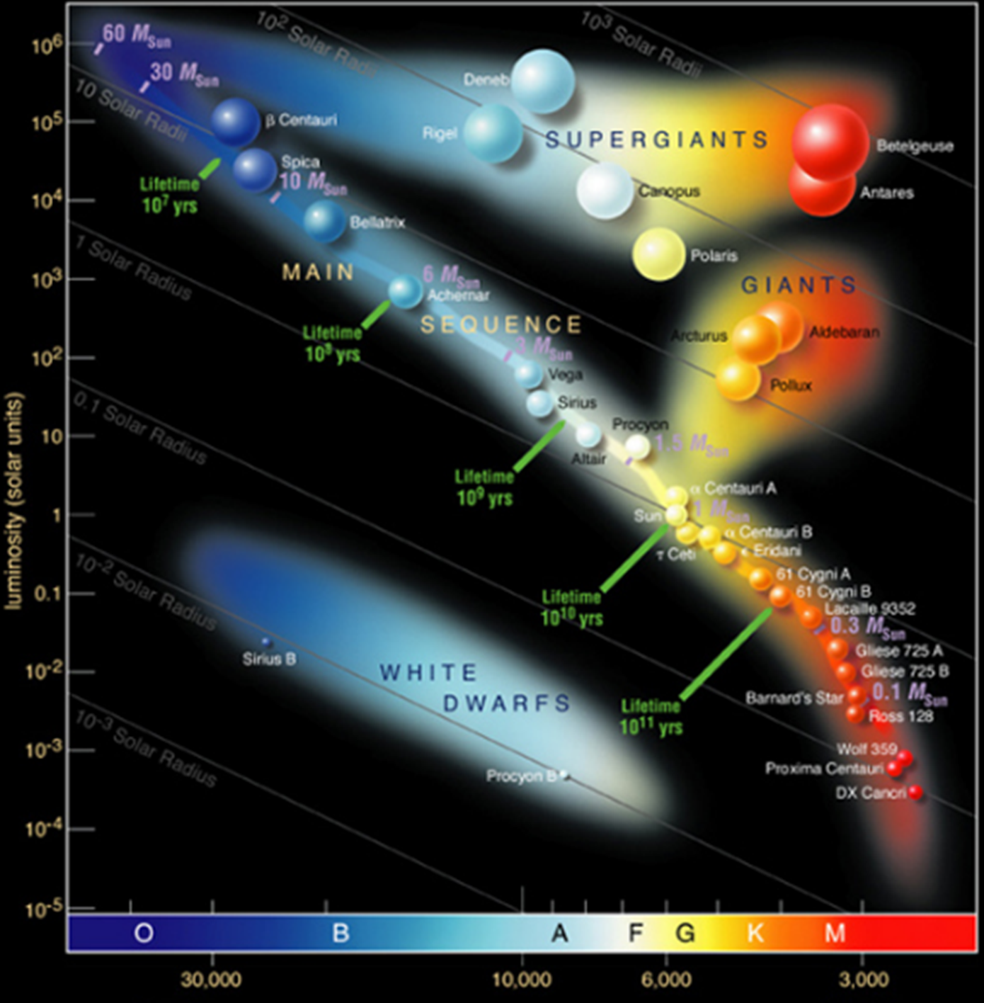 lassification bubble chart: Hertzsprung-Russell diagram of stellar evolution.